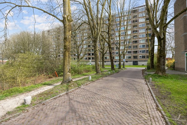 Donderslaan 61 Groningen (46).jpg